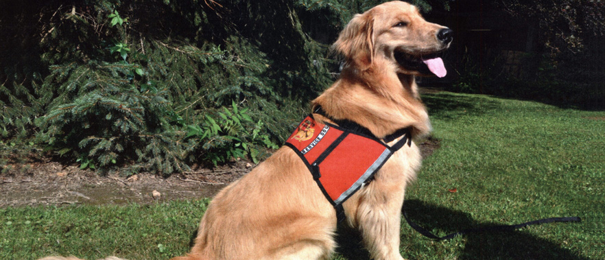 FCI Morgantown's Veterans Service Dog.